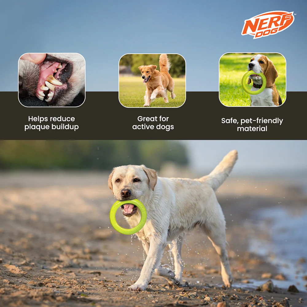 Nerf Dog Dental Tug Ring Toy for Dogs (Green) - Image 7