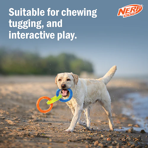 Nerf Dog EXO Translucent Spike 3 Rings Toy for Dogs (Blue/Green/Orange) - Image 5