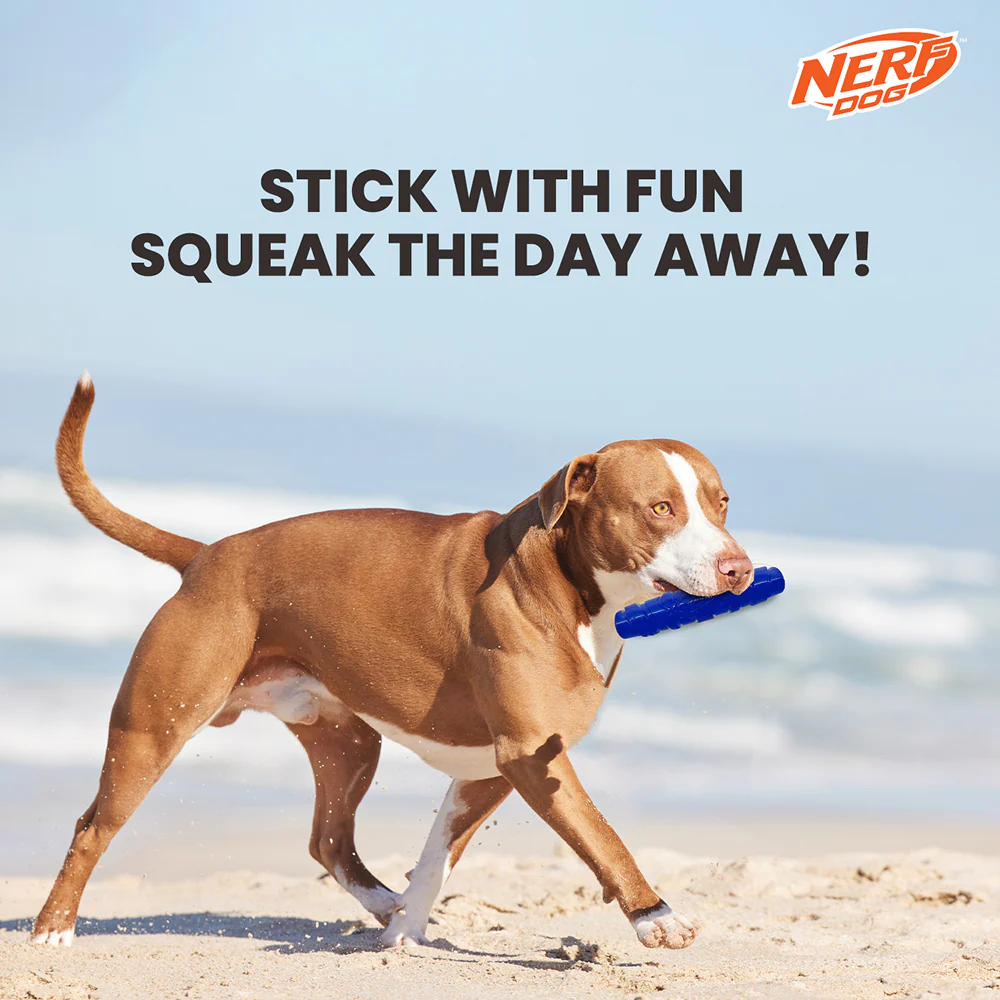 Nerf Dog Squeak Stick Toy for Dogs (Blue) - Image 4
