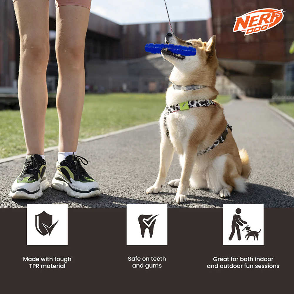 Nerf Dog Squeak Stick Toy for Dogs (Blue) - Image 6