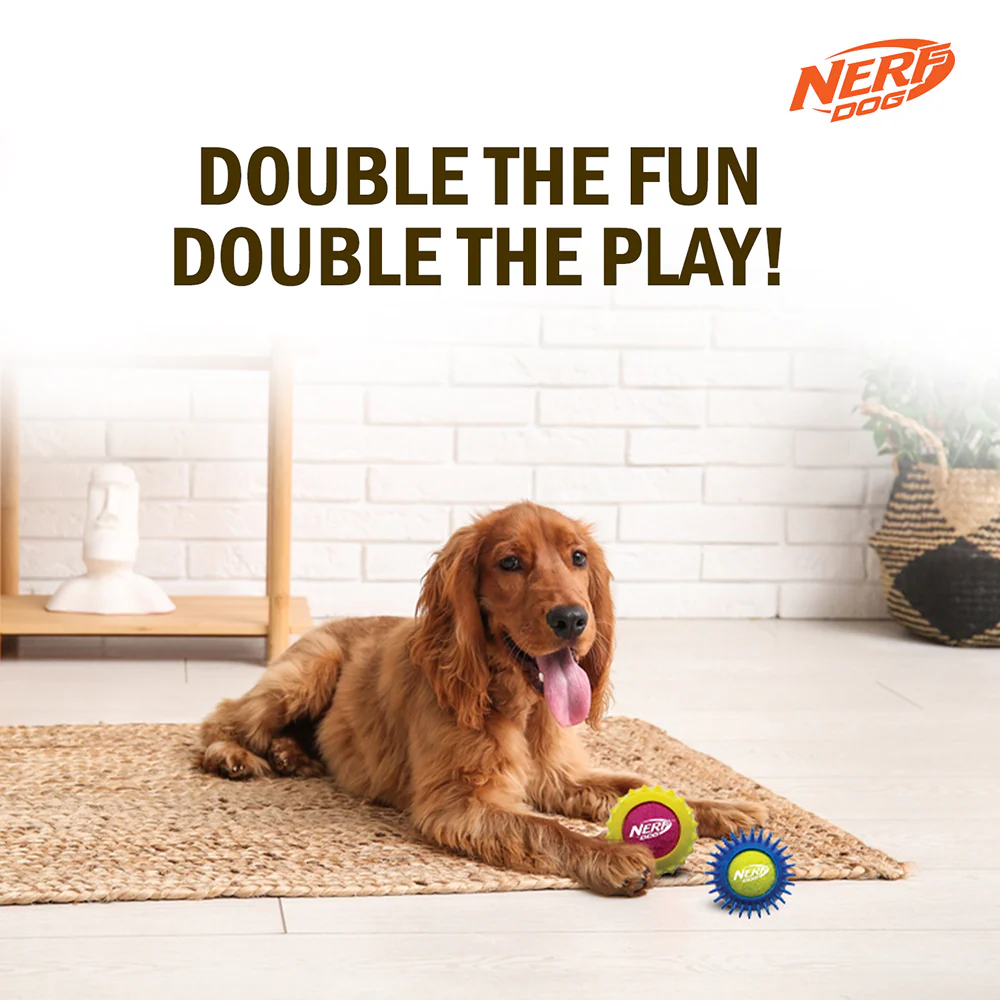 Nerf Dog Set of 2 Durable Squeaky Tennis Balls for Dogs - Image 4