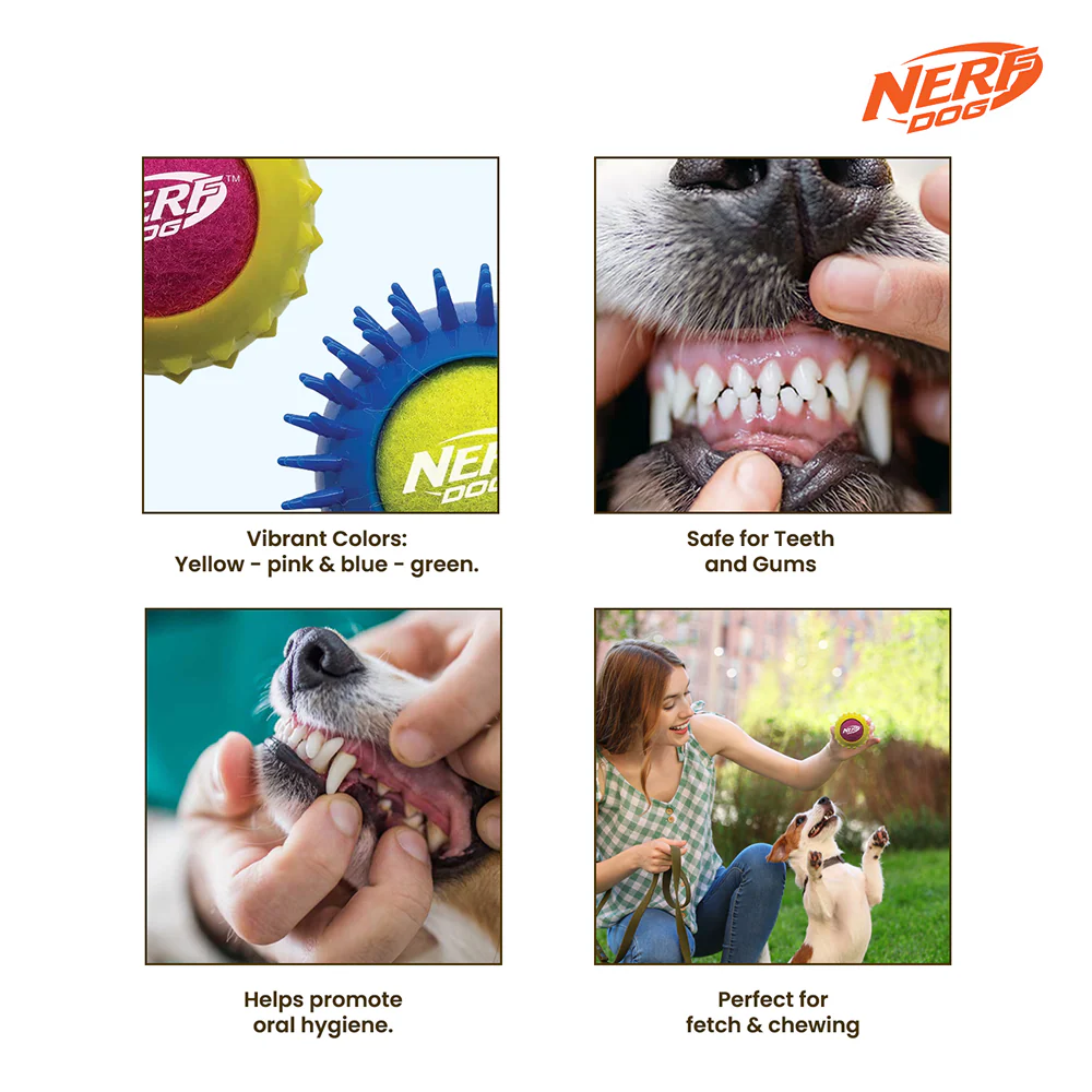 Nerf Dog Set of 2 Durable Squeaky Tennis Balls for Dogs - Image 5
