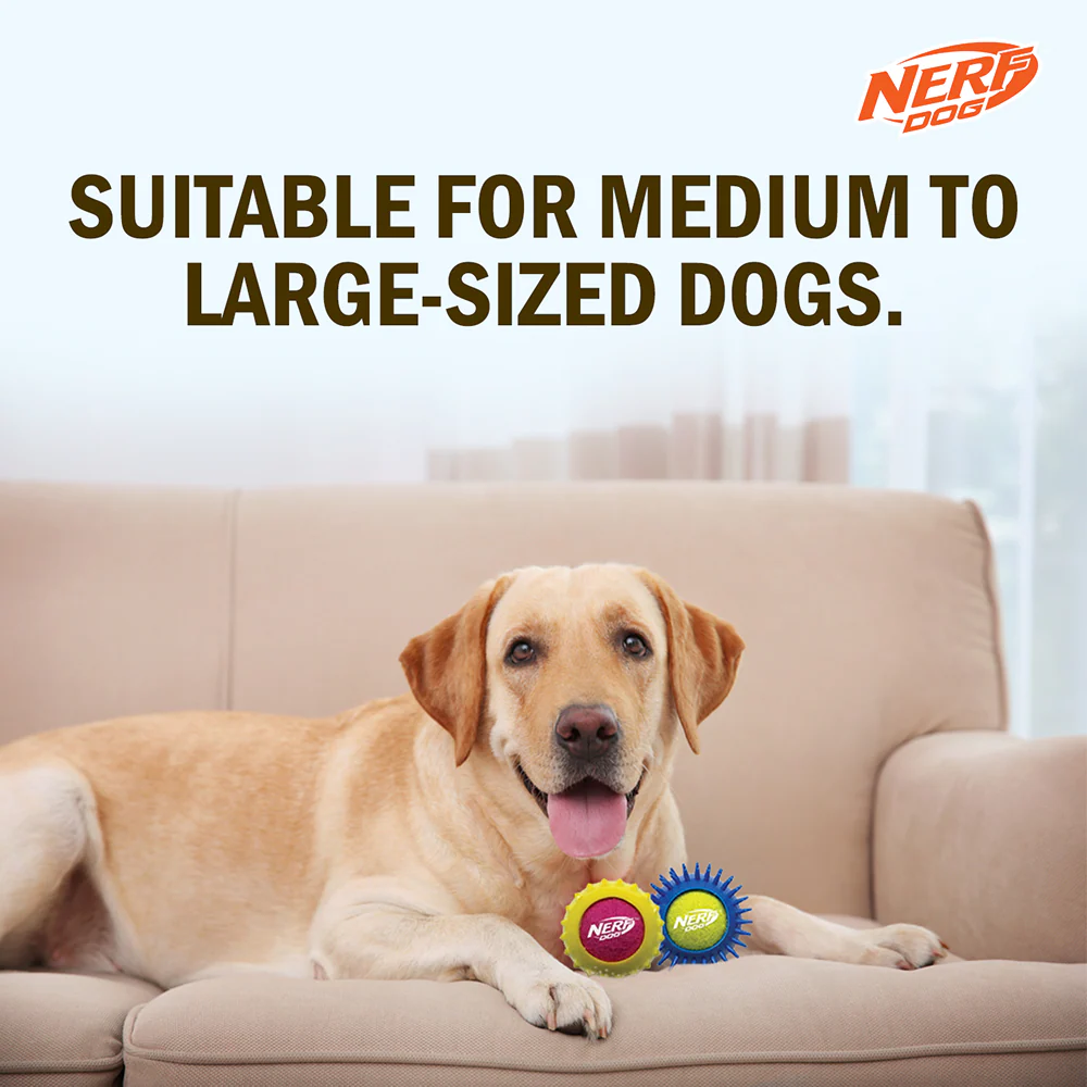 Nerf Dog Set of 2 Durable Squeaky Tennis Balls for Dogs - Image 7