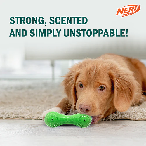 Nerf Dog Super Scent Meat Barbell Interactive Toy for Dogs (Green) - Image 3