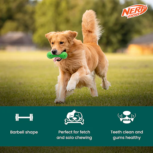 Nerf Dog Super Scent Meat Barbell Interactive Toy for Dogs (Green) - Image 6