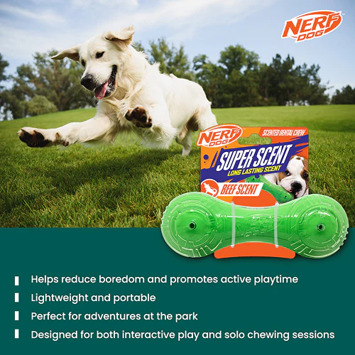 Nerf Dog Super Scent Meat Barbell Interactive Toy for Dogs (Green) - Image 7