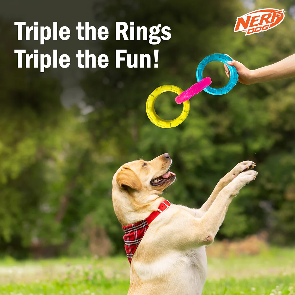 Nerf Dog Translucent Spike 3 Rings Toy for Dogs (Blue/Pink/Yellow) - Image 4