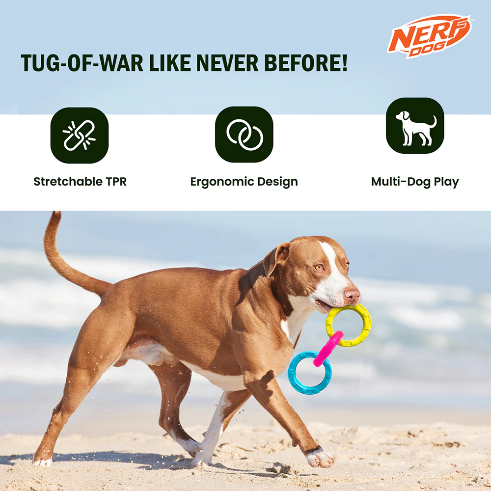 Nerf Dog Translucent Spike 3 Rings Toy for Dogs (Blue/Pink/Yellow) - Image 5