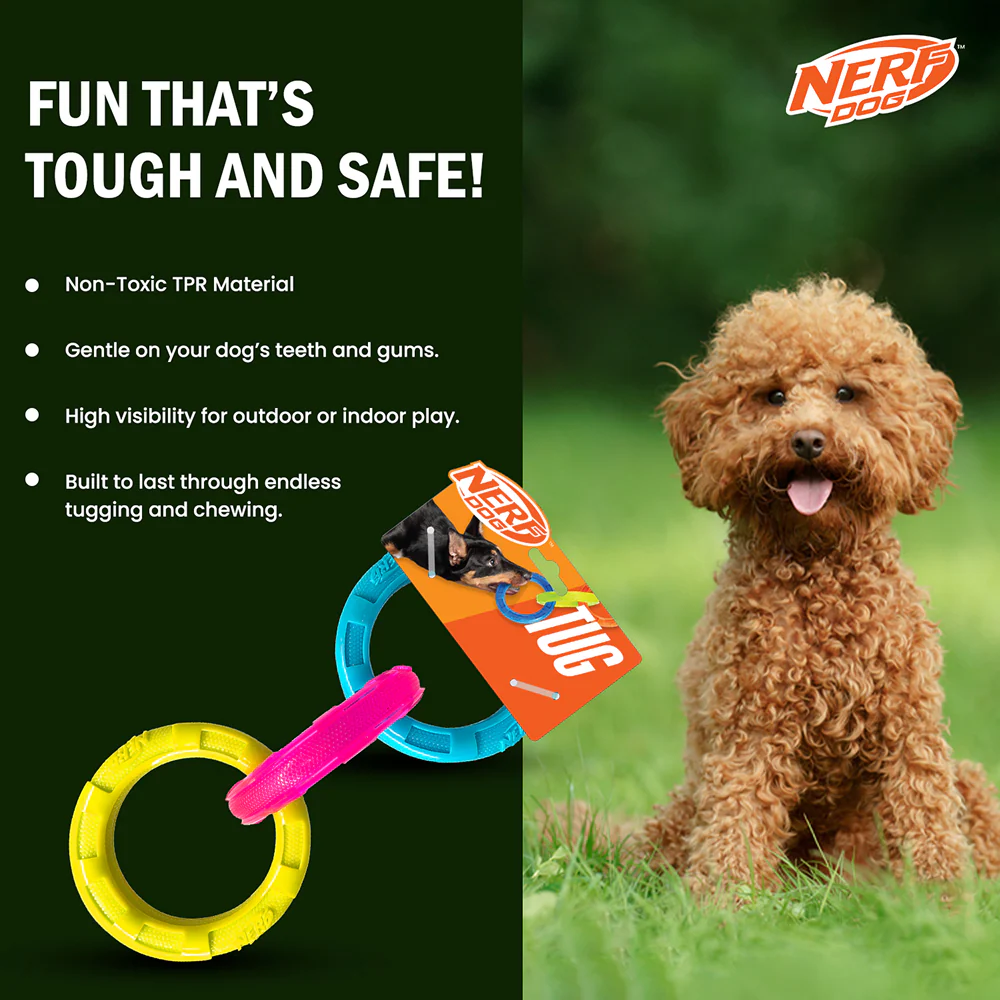 Nerf Dog Translucent Spike 3 Rings Toy for Dogs (Blue/Pink/Yellow) - Image 6