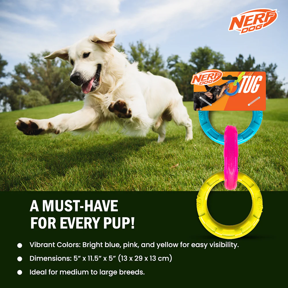 Nerf Dog Translucent Spike 3 Rings Toy for Dogs (Blue/Pink/Yellow) - Image 7