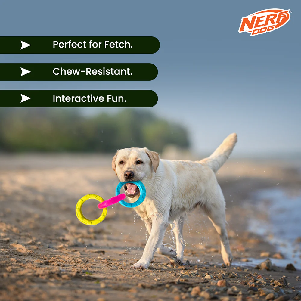 Nerf Dog Translucent Spike 3 Rings Toy for Dogs (Blue/Pink/Yellow) - Image 8
