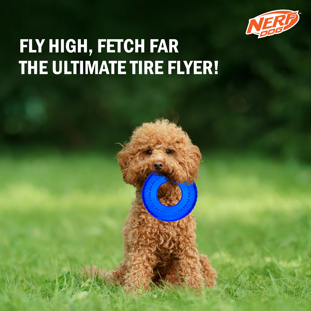 Nerf Dog Translucent Tire Flyer TPR Toy for Dogs (Blue) - Image 4