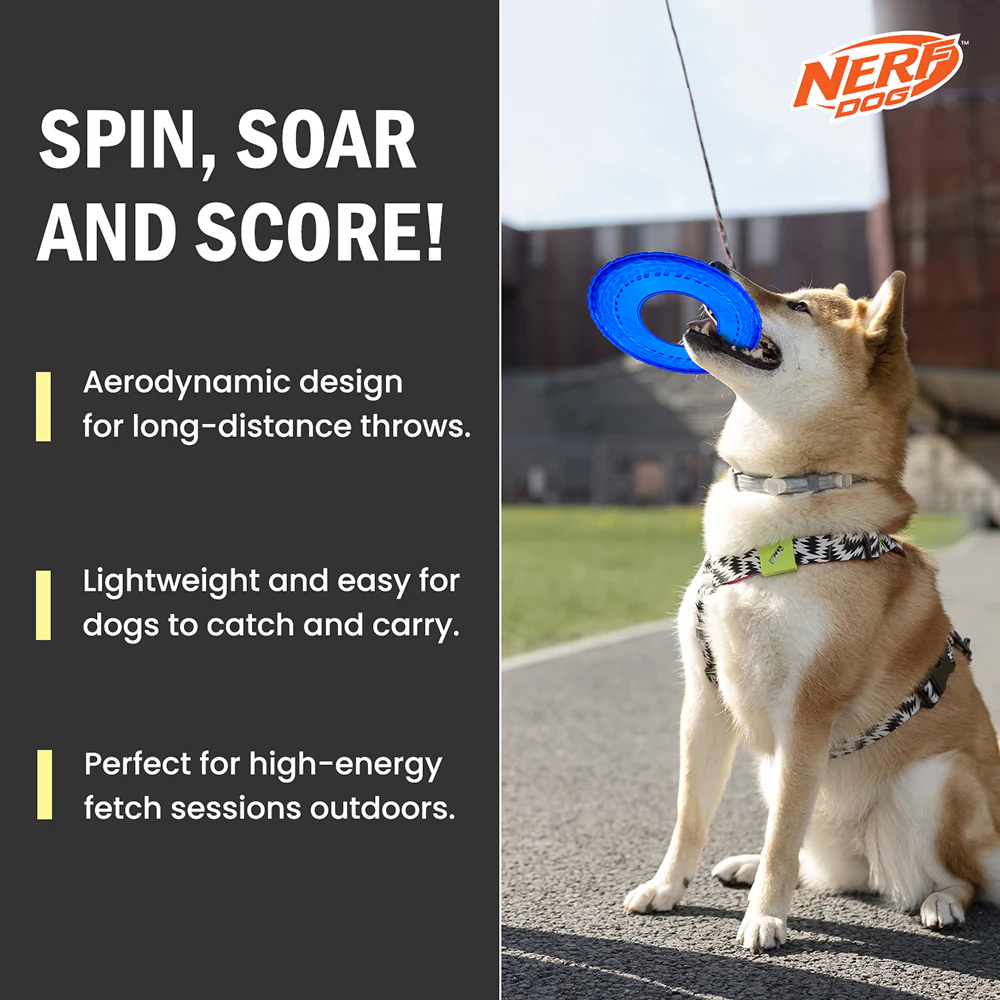 Nerf Dog Translucent Tire Flyer TPR Toy for Dogs (Blue) - Image 5