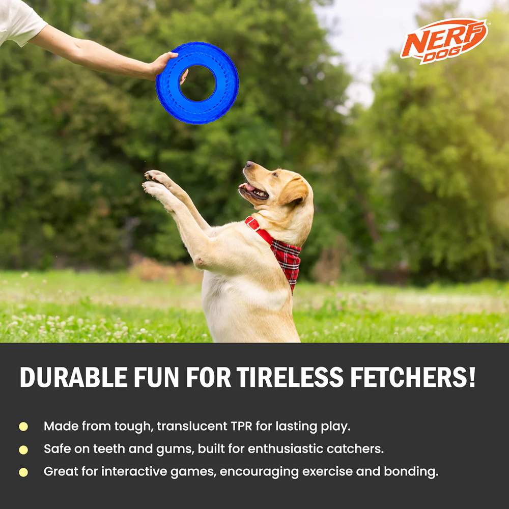 Nerf Dog Translucent Tire Flyer TPR Toy for Dogs (Blue) - Image 6