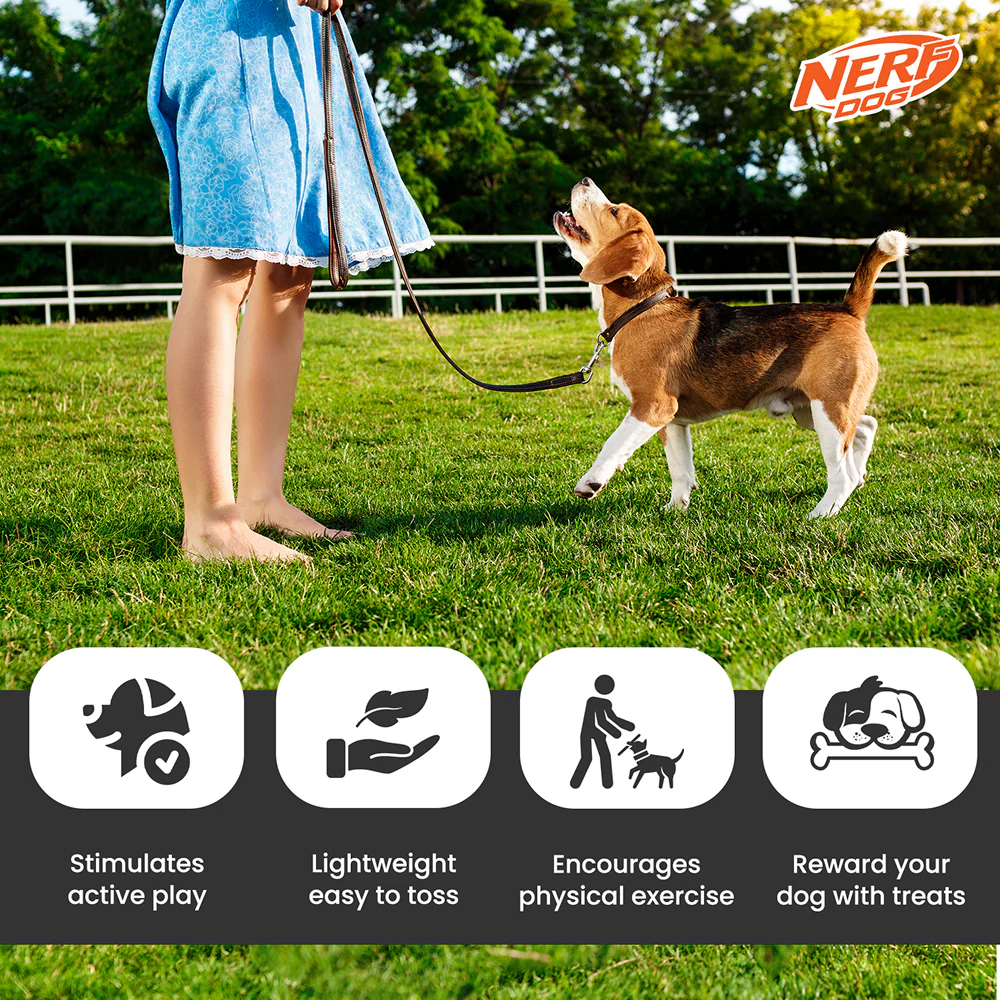 Nerf Dog Translucent Tire Flyer TPR Toy for Dogs (Blue) - Image 7