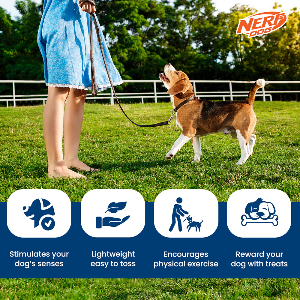 Nerf Dog Bone Tug Interactive Treat Dispenser Toy for Dogs (Green) - Image 7