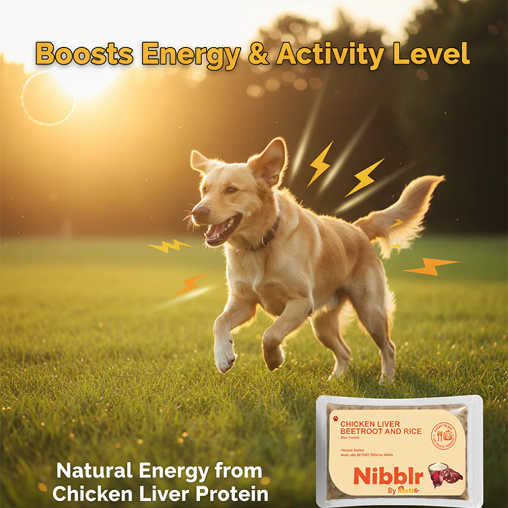 Nibblr By Nootie Wholesome Chicken Liver Beetroot & Rice Ready to Eat Meal Dog Wet Food - Image 8