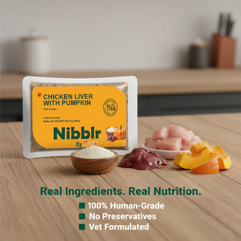 Nibblr By Nootie Wholesome Chicken Liver with Pumpkin Ready to Eat Meal Dog Wet Food - Image 6