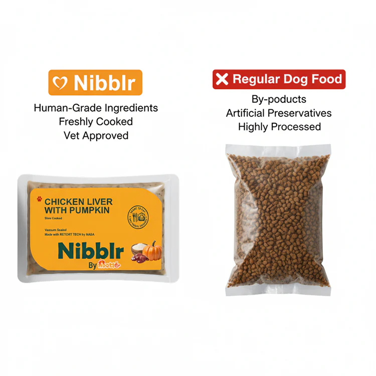 Nibblr By Nootie Wholesome Chicken Liver with Pumpkin Ready to Eat Meal Dog Wet Food - Image 7