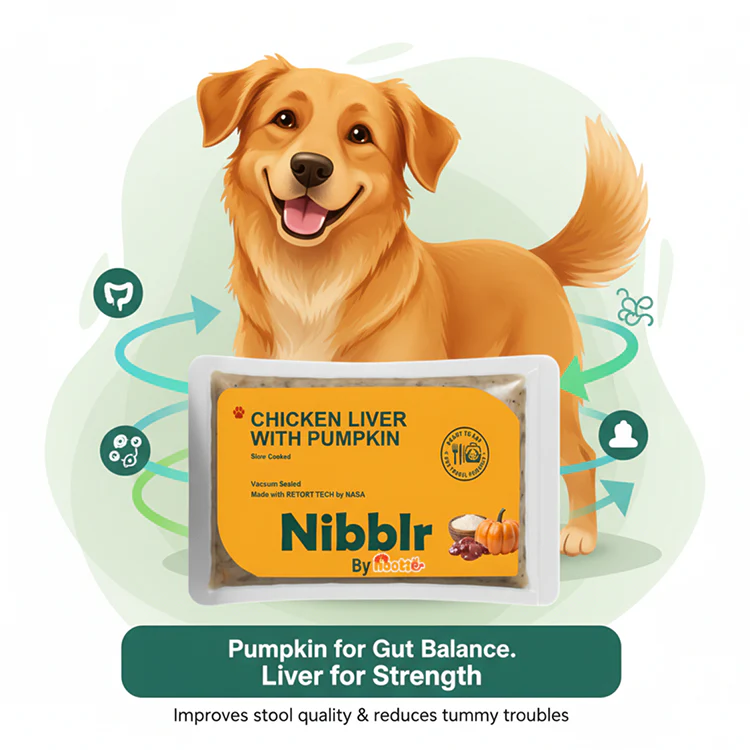 Nibblr By Nootie Wholesome Chicken Liver with Pumpkin Ready to Eat Meal Dog Wet Food - Image 8
