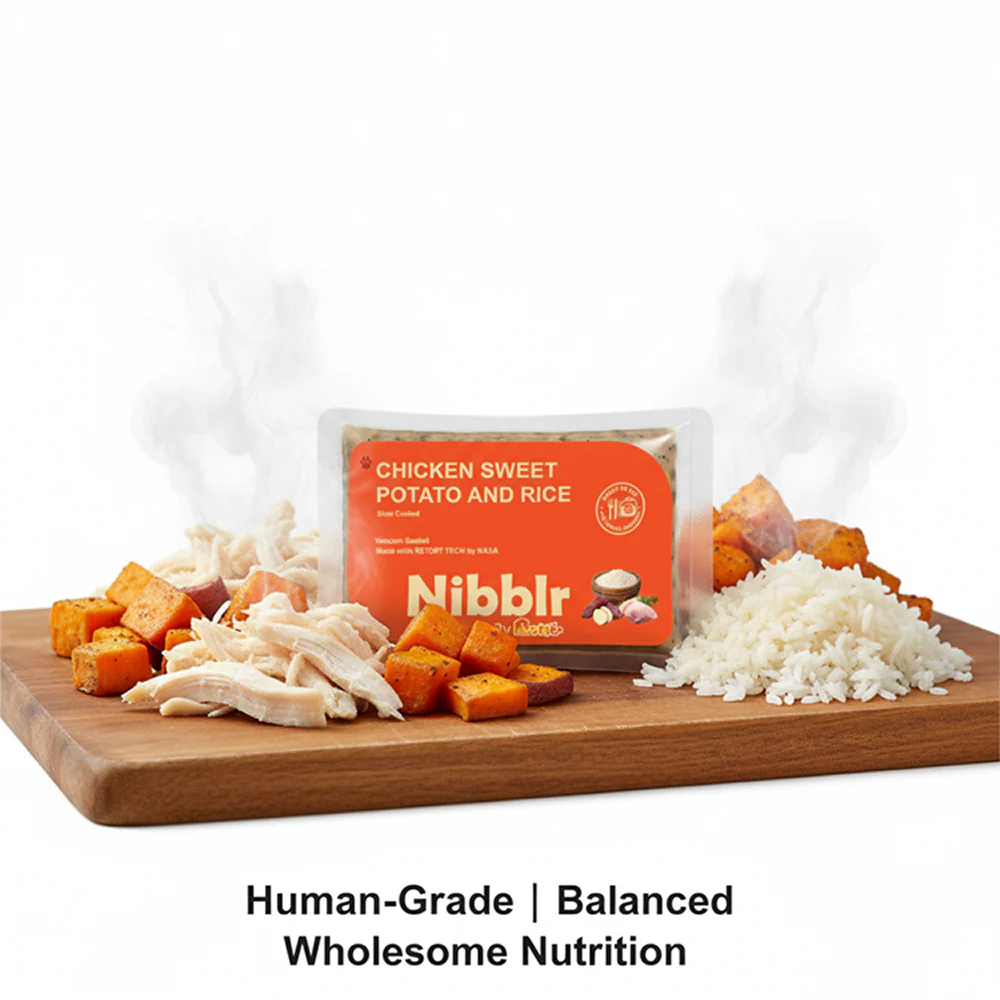 Nibblr By Nootie Wholesome Chicken Sweet Potato & Rice Ready to Eat Meal Dog Wet Food - Image 4
