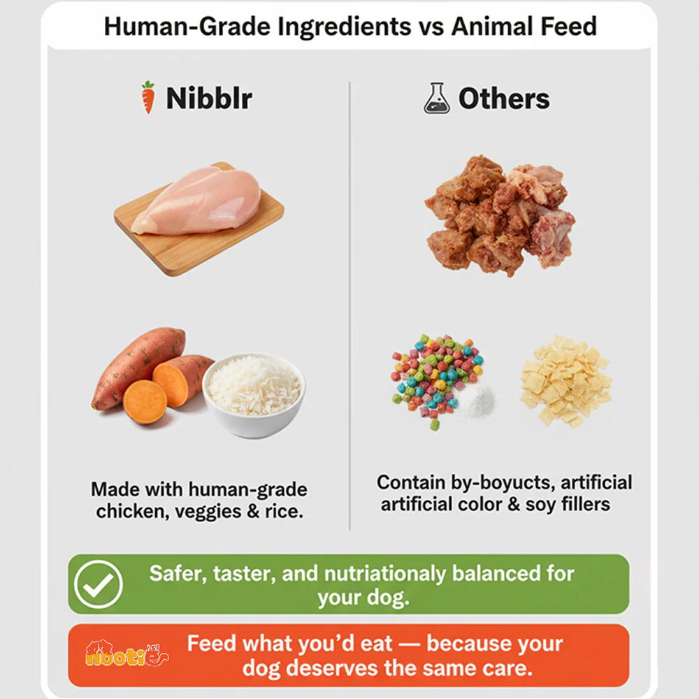 Nibblr By Nootie Wholesome Chicken Sweet Potato & Rice Ready to Eat Meal Dog Wet Food - Image 6
