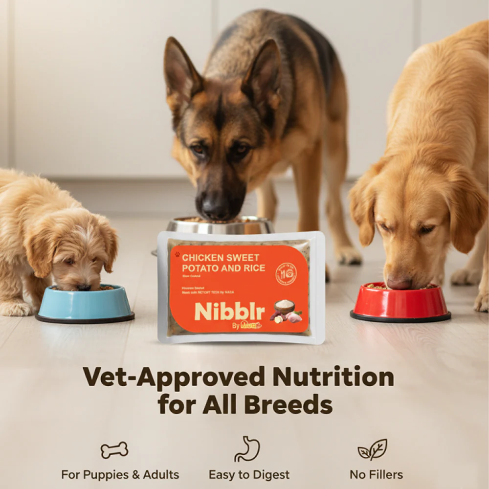 Nibblr By Nootie Wholesome Chicken Sweet Potato & Rice Ready to Eat Meal Dog Wet Food - Image 7