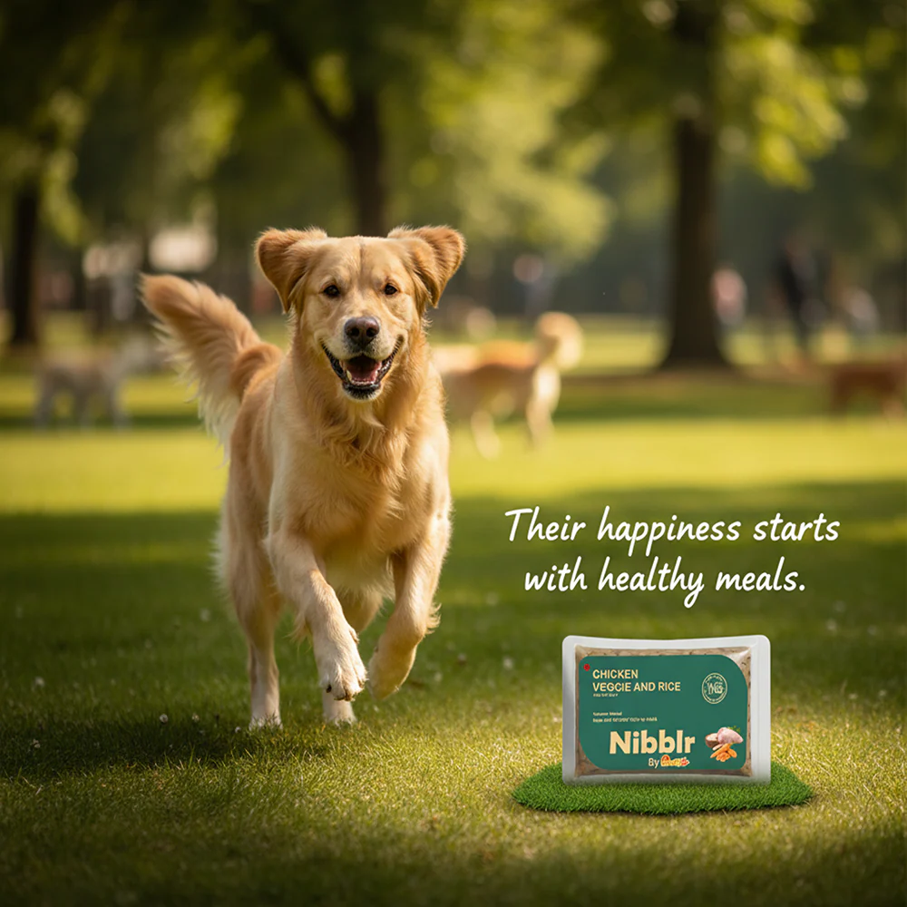 Nibblr By Nootie Wholesome Chicken Veggie & Rice Ready to Eat Meal Dog Wet Food - Image 6