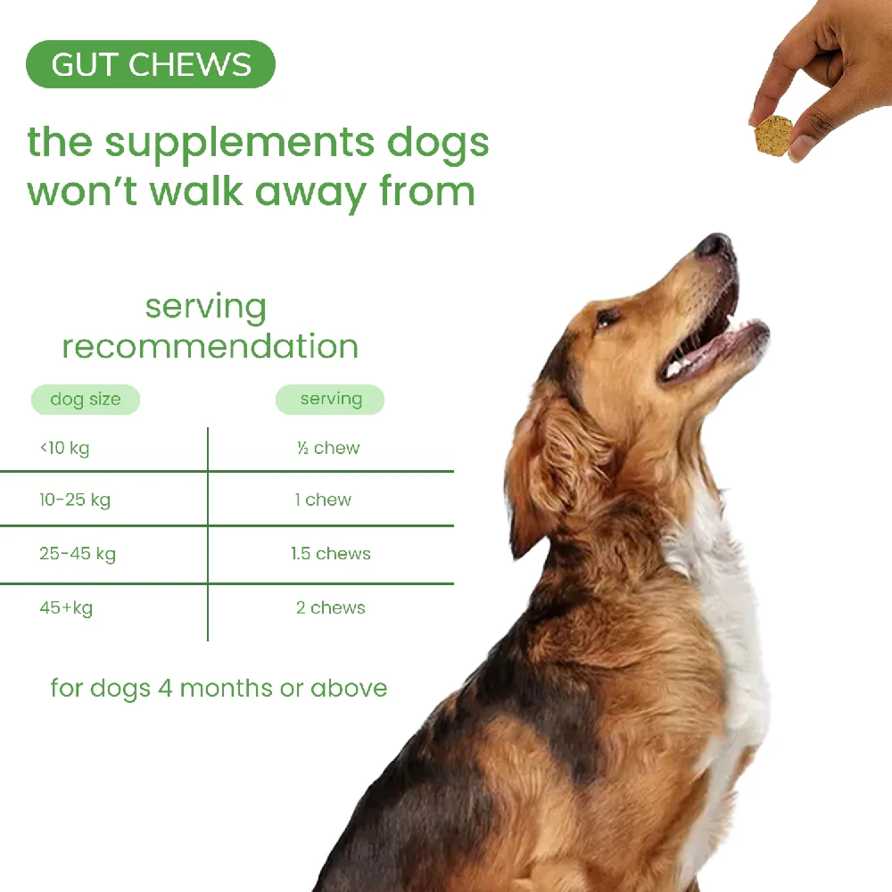Nootie+ Digestive & Probiotic Gut Chew Supplement for Dogs - Image 10