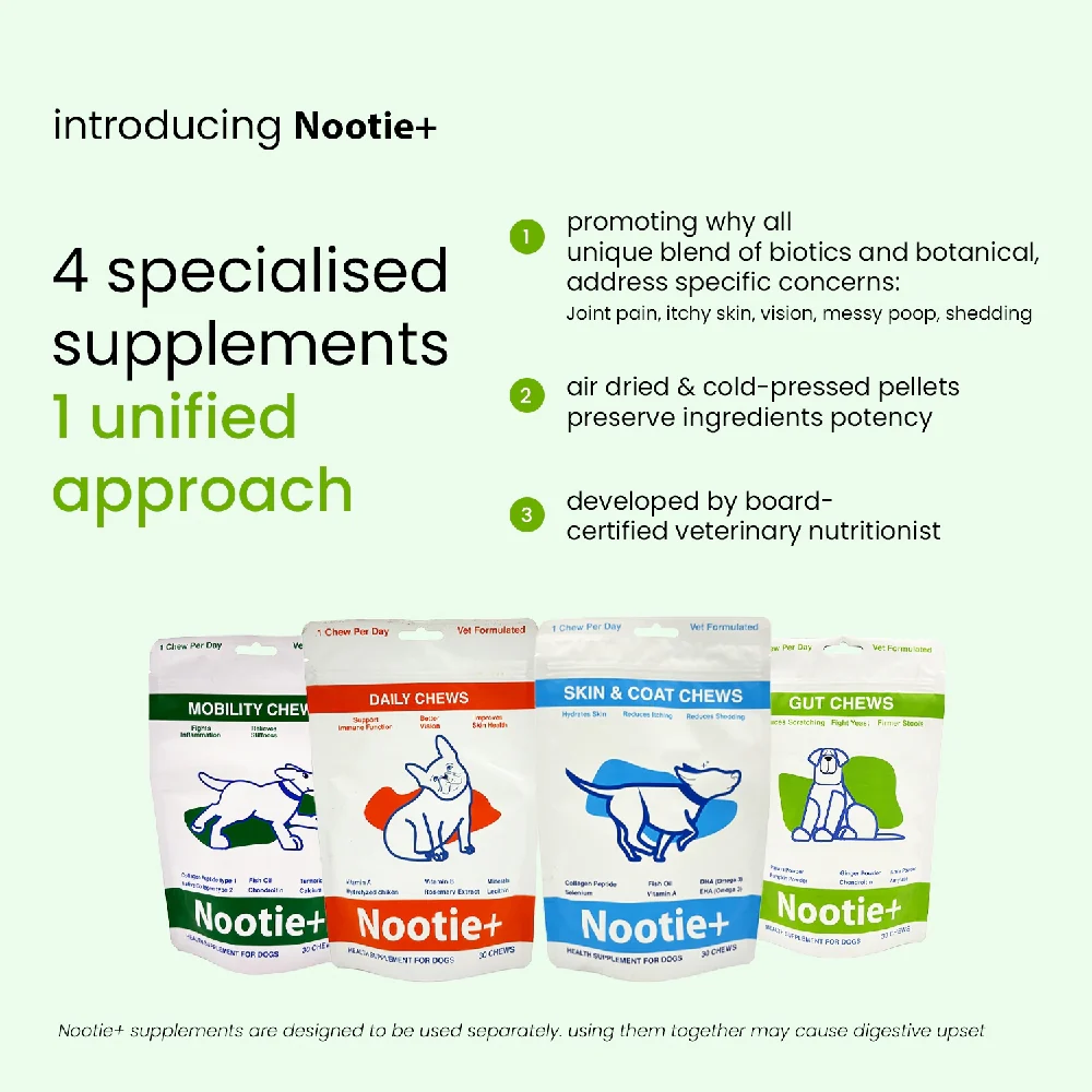 Nootie+ Digestive & Probiotic Gut Chew Supplement for Dogs - Image 12