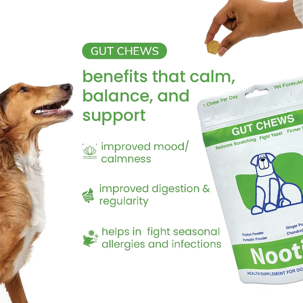 Nootie+ Digestive & Probiotic Gut Chew Supplement for Dogs - Image 2