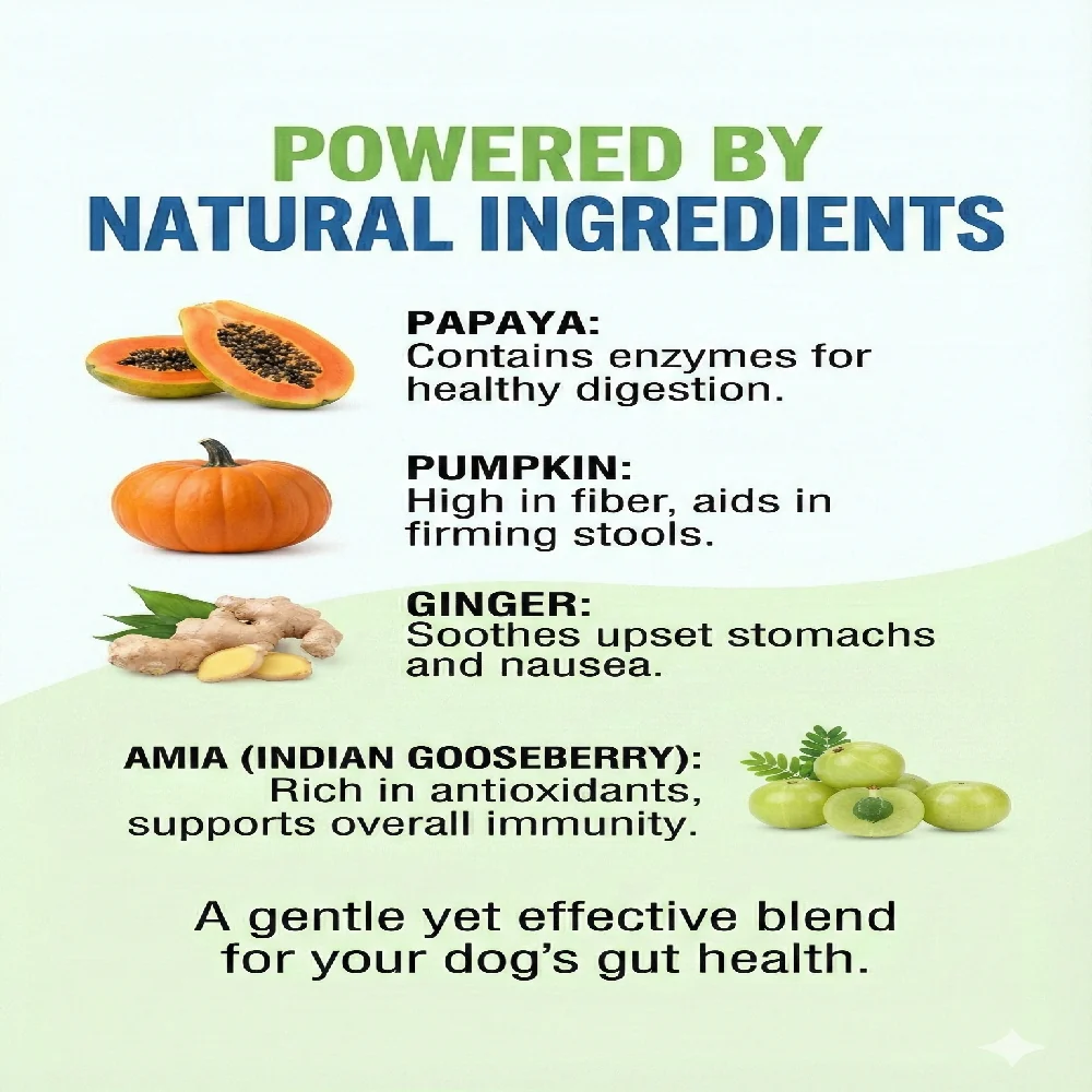 Nootie+ Digestive & Probiotic Gut Chew Supplement for Dogs - Image 3