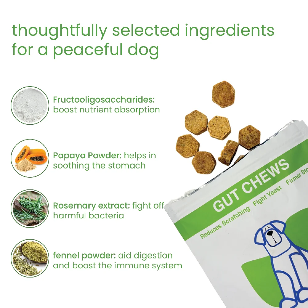 Nootie+ Digestive & Probiotic Gut Chew Supplement for Dogs - Image 5