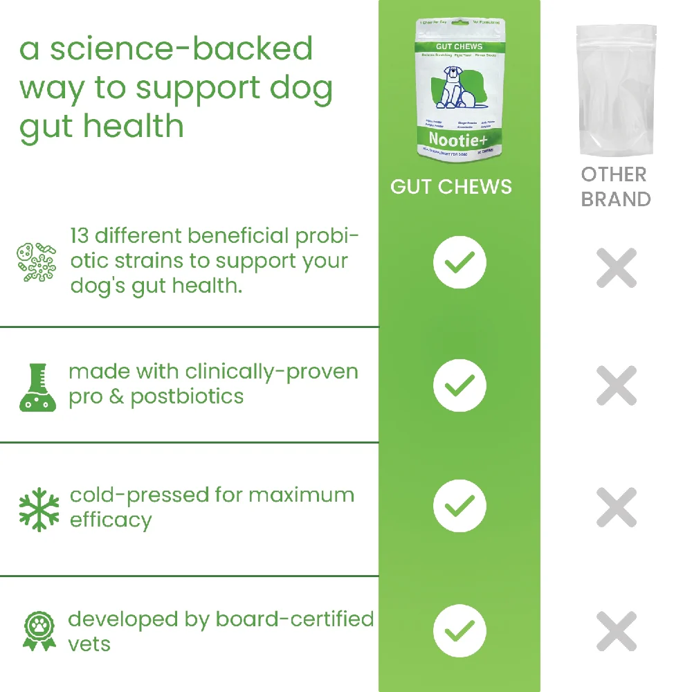 Nootie+ Digestive & Probiotic Gut Chew Supplement for Dogs - Image 6