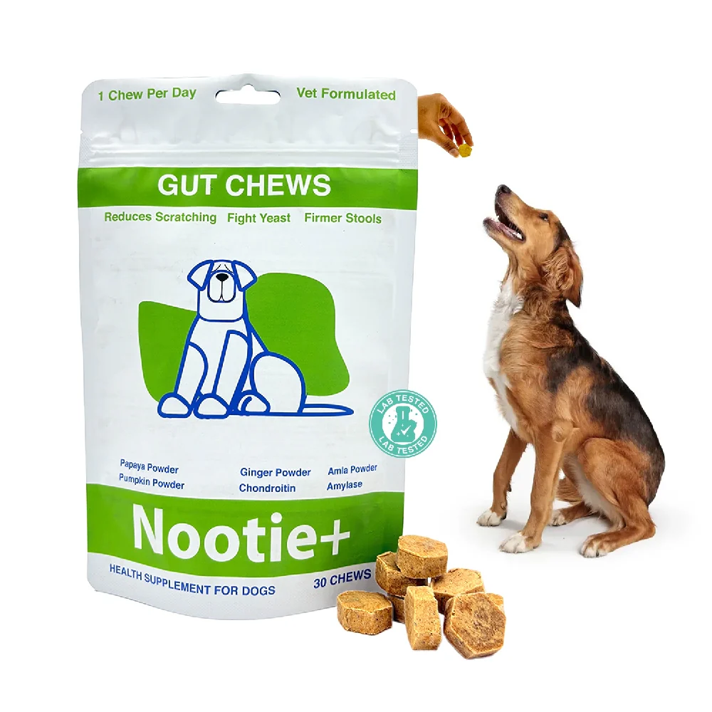 Nootie+ Digestive & Probiotic Gut Chew Supplement for Dogs - Image 7