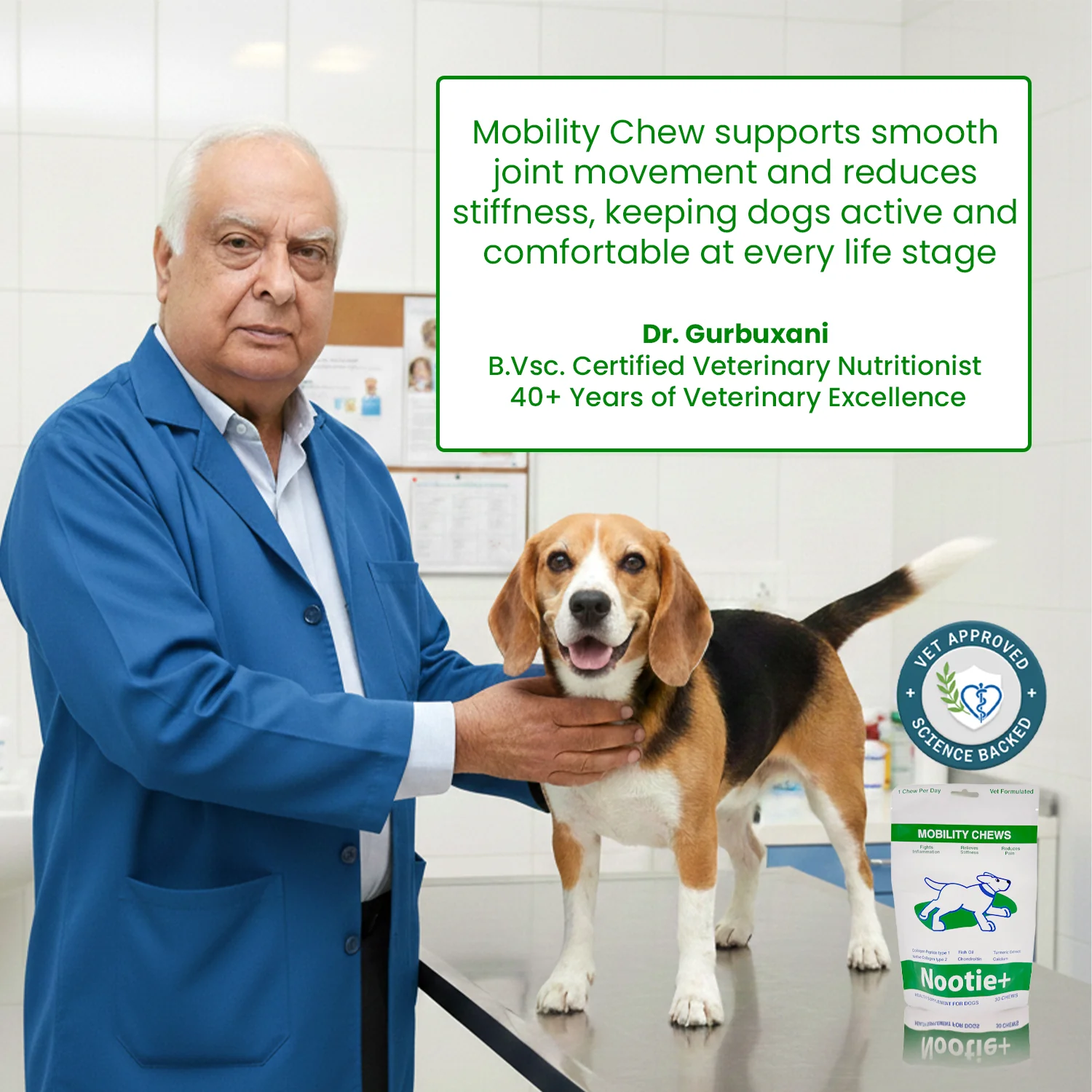 Nootie+ Joint & Bone Mobility Chews Supplement for Dogs - Image 4