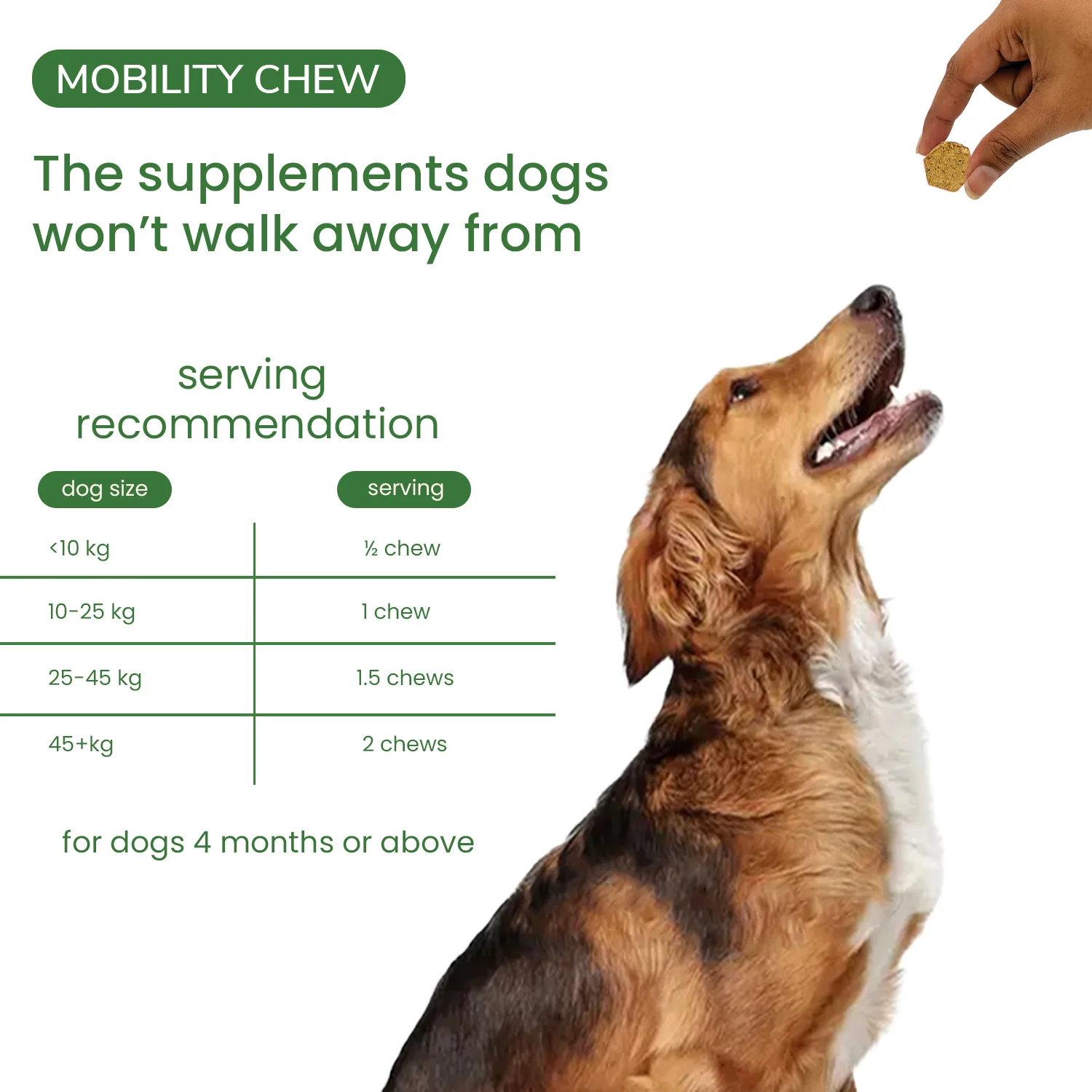 Nootie+ Joint & Bone Mobility Chews Supplement for Dogs - Image 5