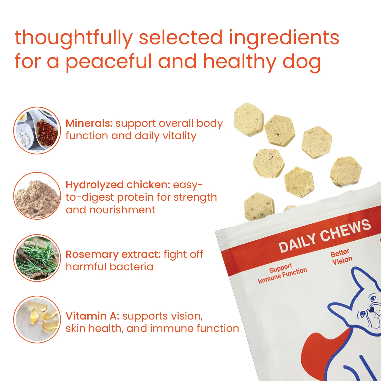 Nootie+ Multivitamin Daily Chews Supplement for Dogs - Image 2