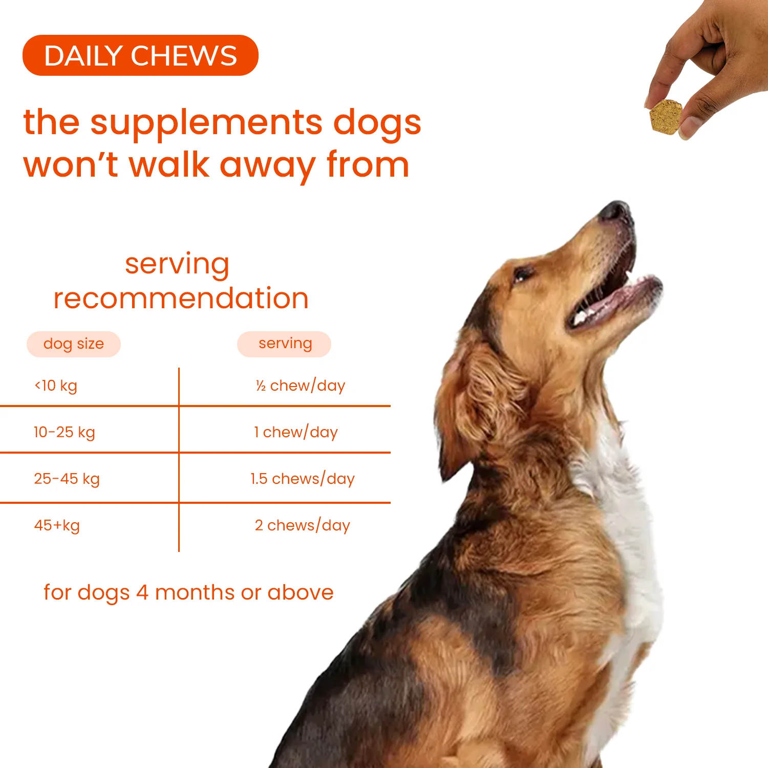 Nootie+ Multivitamin Daily Chews Supplement for Dogs - Image 7