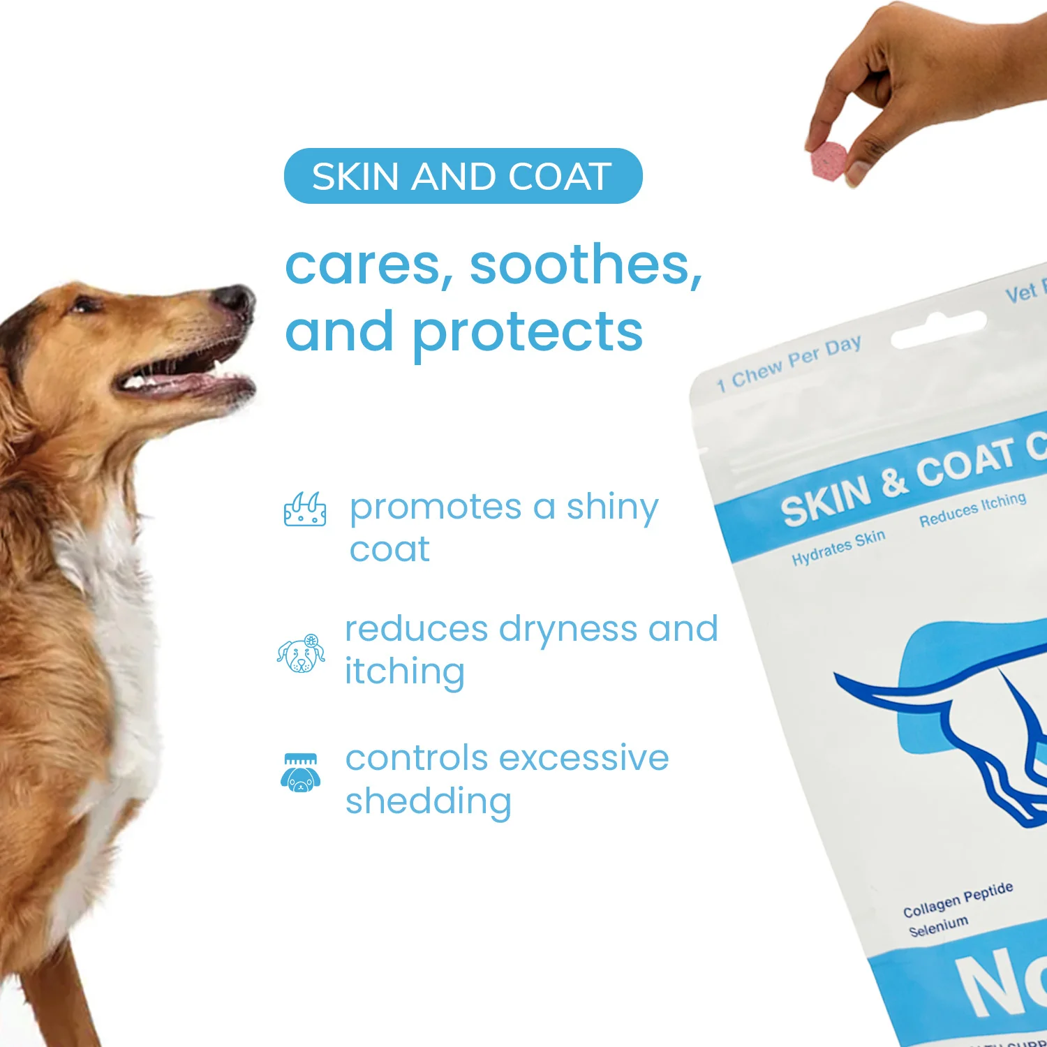 Nootie+ Omega Rich Skin & Coat Support Chews Supplement for Dogs - Image 2