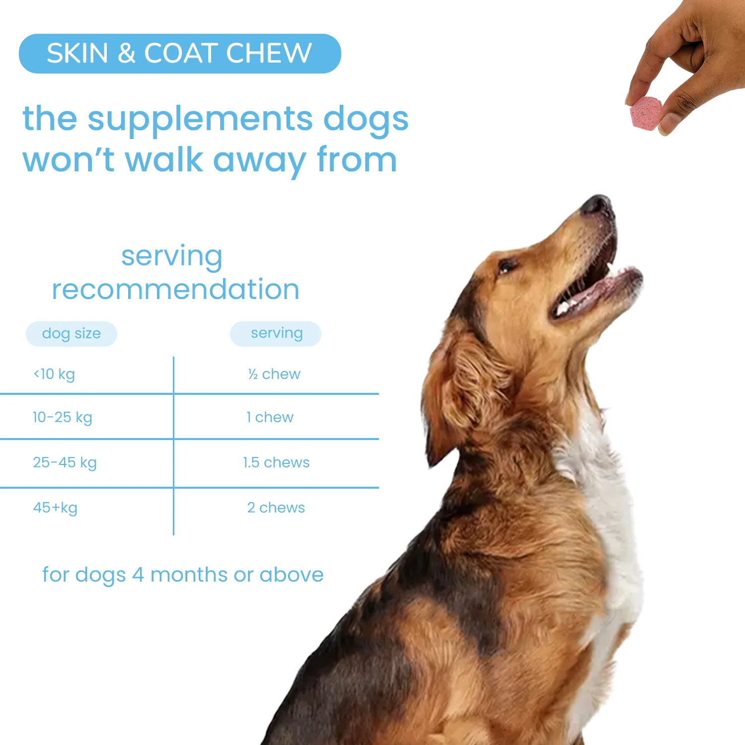 Nootie+ Omega Rich Skin & Coat Support Chews Supplement for Dogs - Image 7