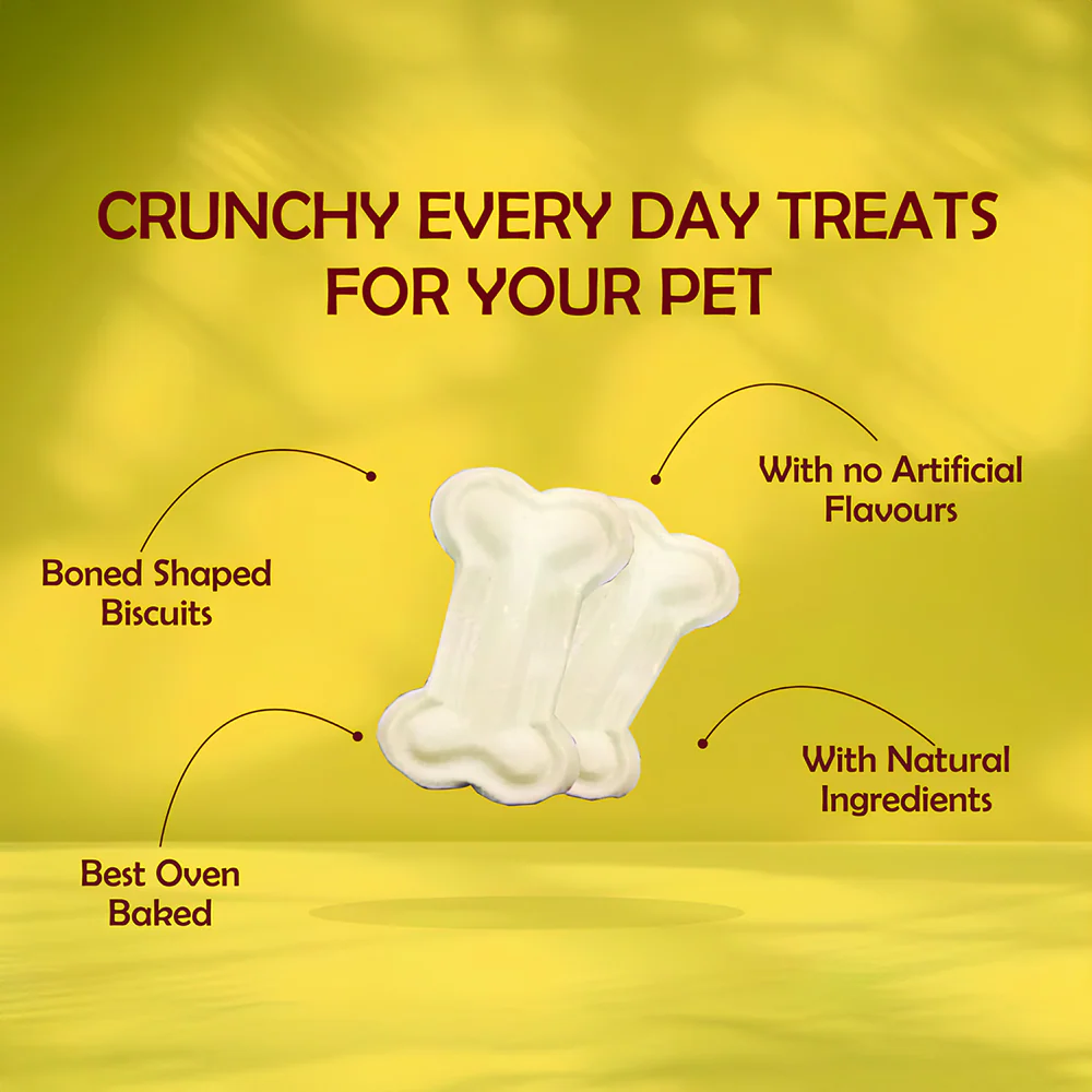 Nootie Spinach & Cheese Flavour Veg Biscuits Adult Dog Treats - Image 3