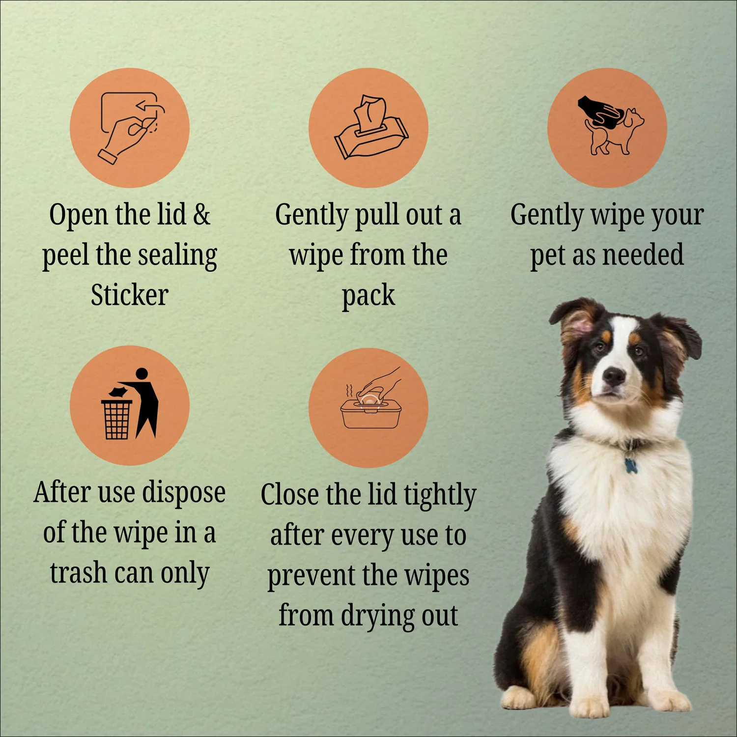 Nootie Wet Wipes for Dogs and Cats - Image 4