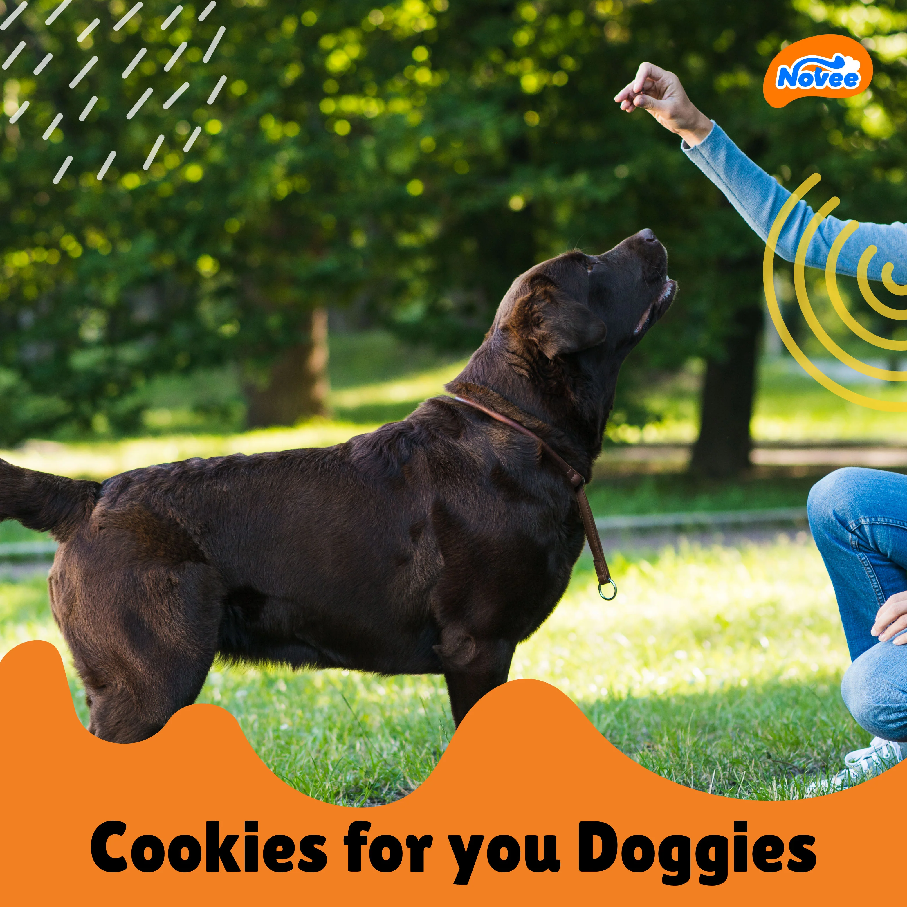 Novee Joint and Bone Support Cookie Dog Treats - Image 4