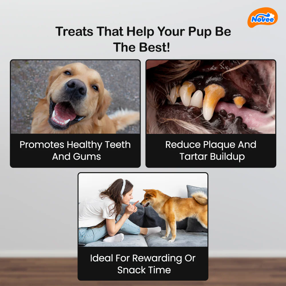 Novee Milky Chew Goat Milk Mini Bone Treats for Dogs - Image 6