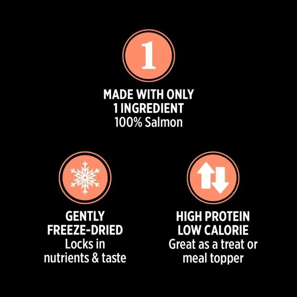 Nutrience Freeze Salmon Dried Cat Treats - Image 3
