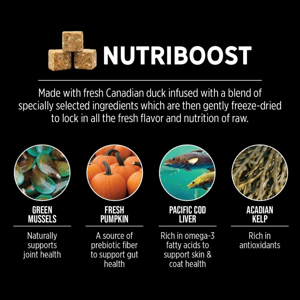Nutrience SubZero Northern Lakes Fish and Duck Flavoured Dog Dry Food - Image 3