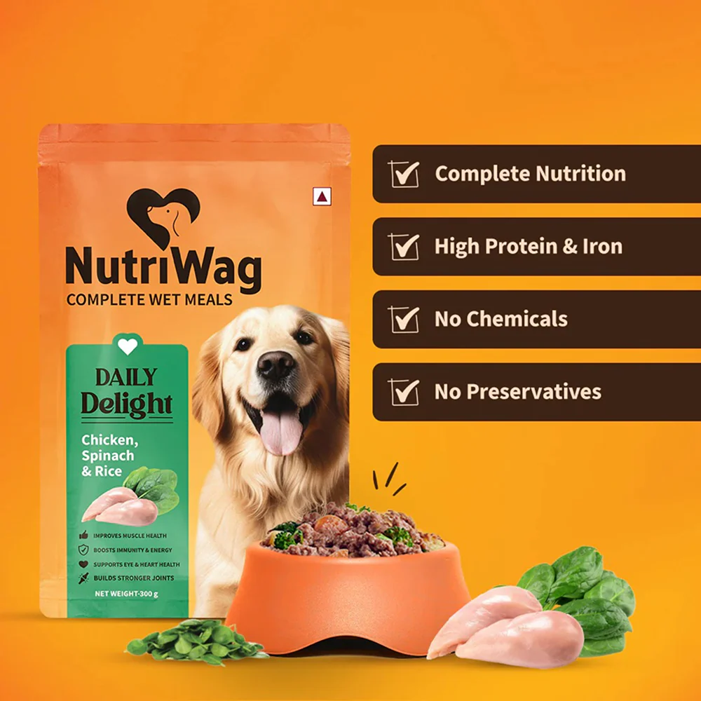 NutriWag Daily Delight Chicken, Spinach & Rice Dog Wet Food - Image 2