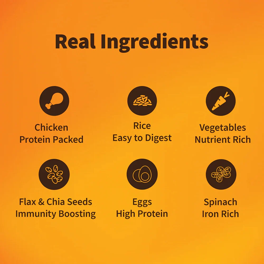 NutriWag Daily Delight Chicken, Spinach & Rice Dog Wet Food - Image 3