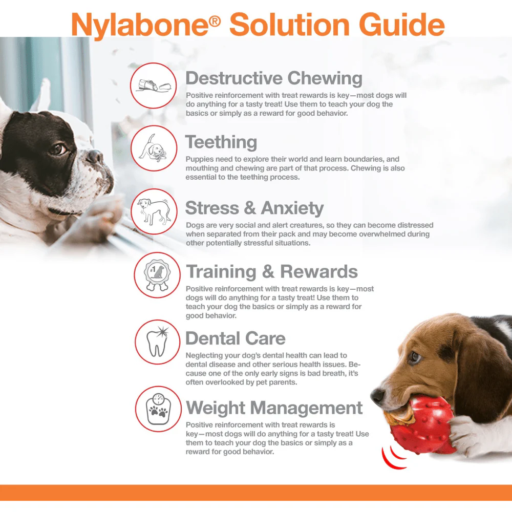 Nylabone Bacon Flavoured Power Chew Bone (Brown) - Image 5